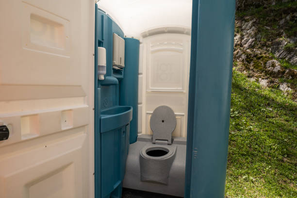 Best Porta potty rental for parties  in Coloma, MI